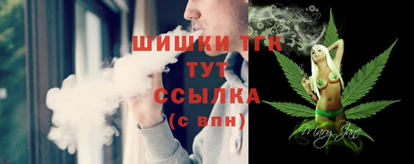 гидра Лихославль
