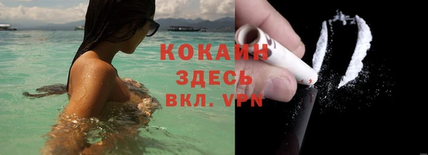 стаф Кулебаки
