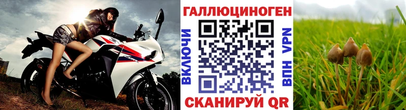 Галлюциногенные грибы GOLDEN TEACHER  что такое наркотик  ссылка на мегу сайт  Сусуман 